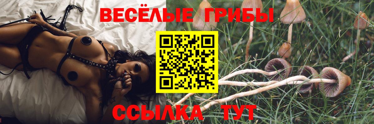 Псилоцибиновые грибы прущие грибы Надым